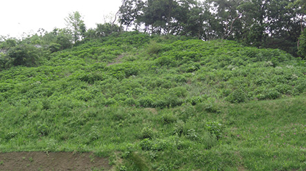 시공완료 후 (1년 경과)